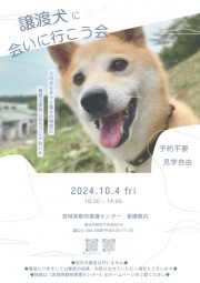 10.4犬のサムネイル