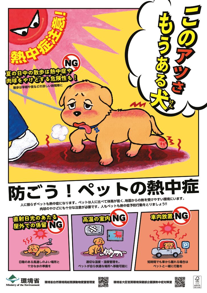 000322380のサムネイル