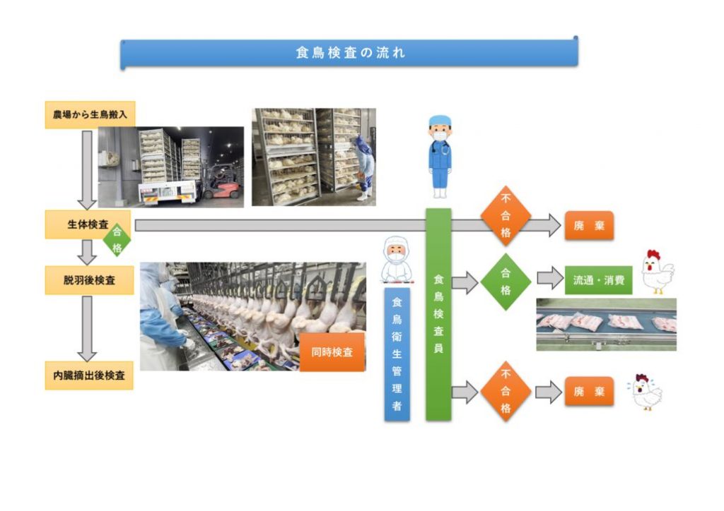 ■食鳥検査概略【R7.10.15】HP用のサムネイル
