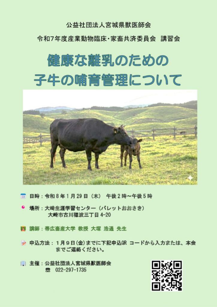 チラシ【gemini黒毛】のサムネイル