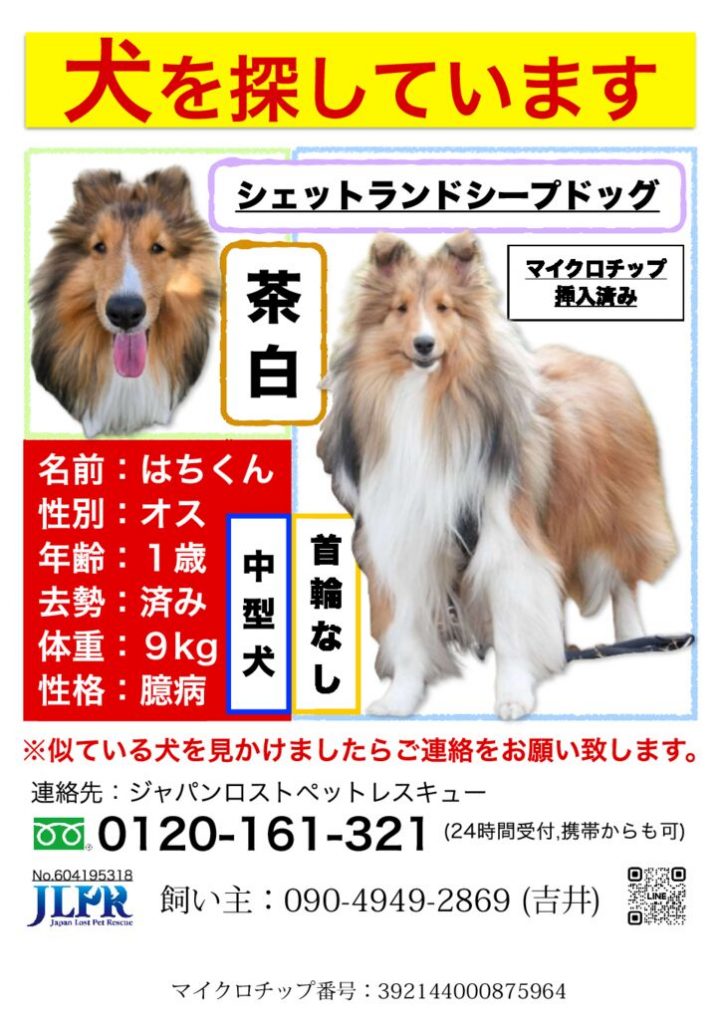吉井はちくん修正しましたA5_マイクロチップNoのサムネイル